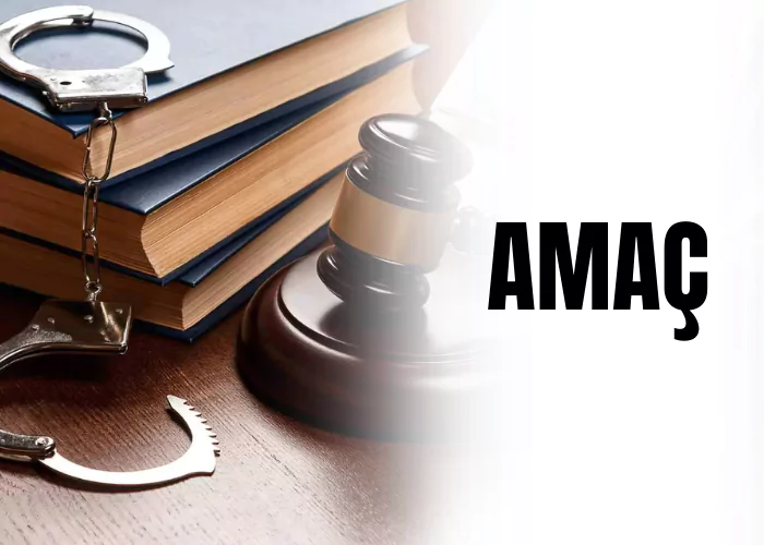 amac-ceza-avukati-zeki-bulgan
