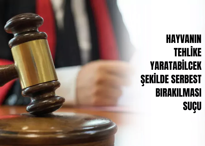 hayvanin-tehlike-yaratabilecek-sekilde-serbest-birakilmasi-sucu-ceza-avukati-zeki-bulgan