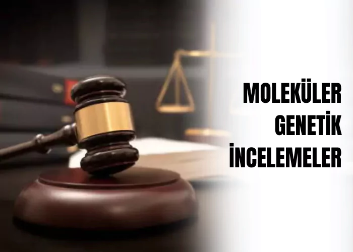 molekuler-genetik-incelemeler-ceza-avukati-zeki-bulgan