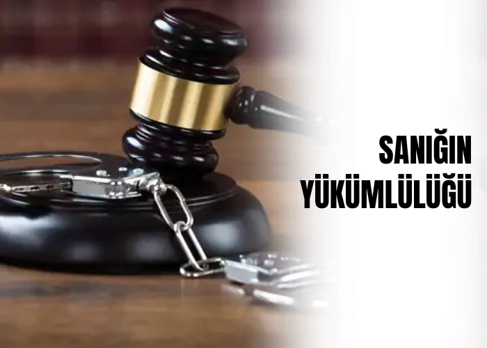 sanigin-yukumlulugu-ceza-avukati-zeki-bulgan