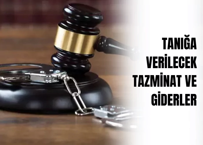 taniga-verilecek-tazminat-ve-giderler-ceza-avukati-zeki-bulgan