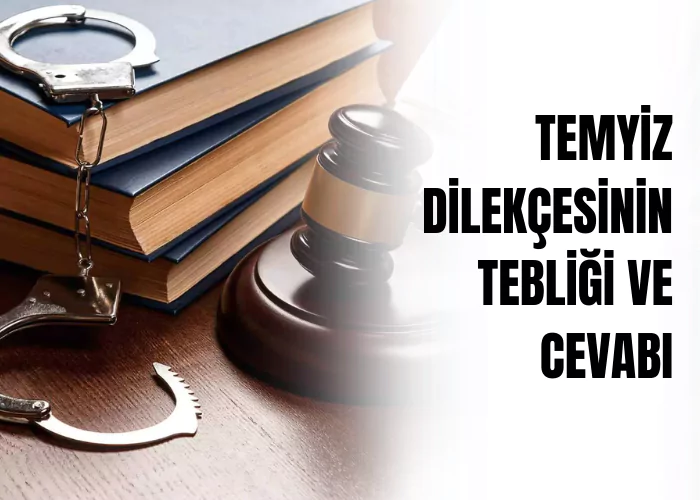 temyiz-dilekcesinin-tebligi-ve-cevabi-yargitay-cumhuriyet-bassavciliginin-gorevi-ceza-avukati-zeki-bulgan
