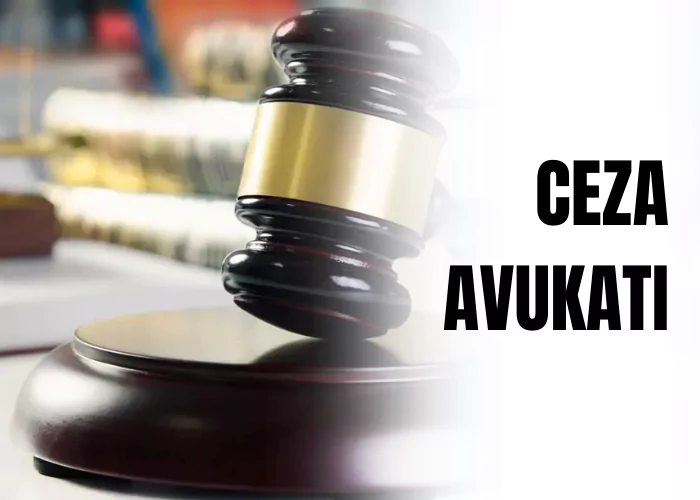 ceza-avukati-ceza-avukati-ceza-avukatlari-ceza-agir-ceza-avukati-eksik-delil-ceza-avukati-zeki-bulgan