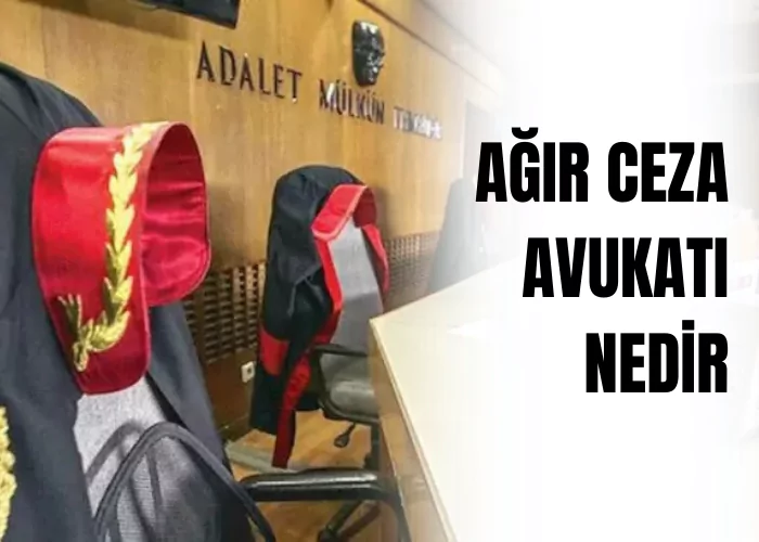 ceza-avukati-ceza-avukati-zeki-bulgan