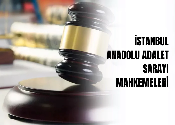 istanbul-anadolu-adalet-sarayi-mahkemeleri-ceza-avukati-zeki-bulgan